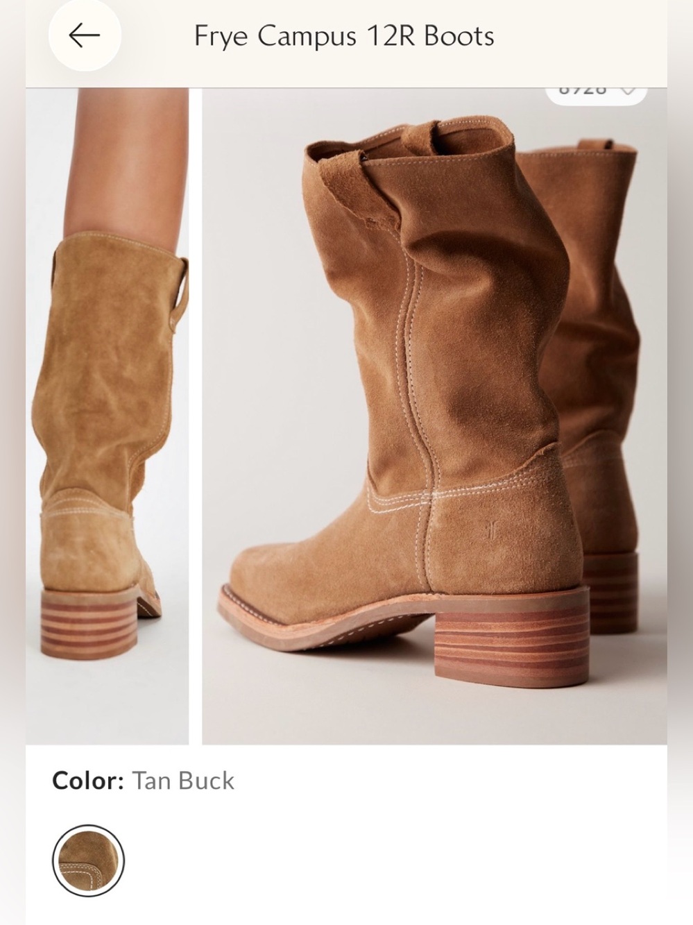 NWOT, NWOB  Frye Campus 12R Boots